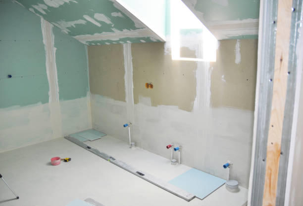 Best Mold Removal for HVAC Installations  in South Barre, VT