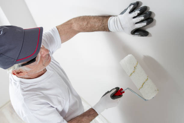 Best Air Quality Testing for Mold Spores  in South Barre, VT