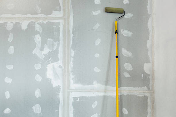 Best HVAC Mold Inspection and Cleaning  in South Barre, VT