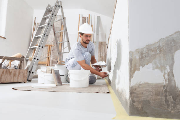 Best Mold-Related Health Consultation  in South Barre, VT