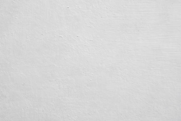 Mold Documentation for Insurance Claims in South Barre, VT