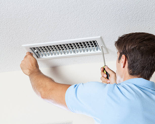 Best Commercial Mold Inspection  in South Barre, VT