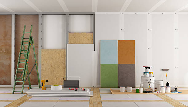 Best Mold Remediation for Healthcare Facilities  in South Barre, VT