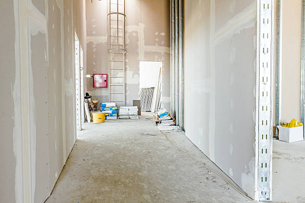 Best Environmental Consulting for Mold Prevention  in South Barre, VT