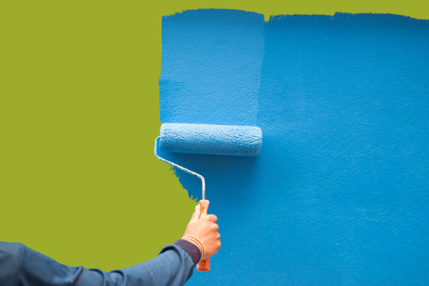 Best Emergency Mold Remediation  in South Barre, VT