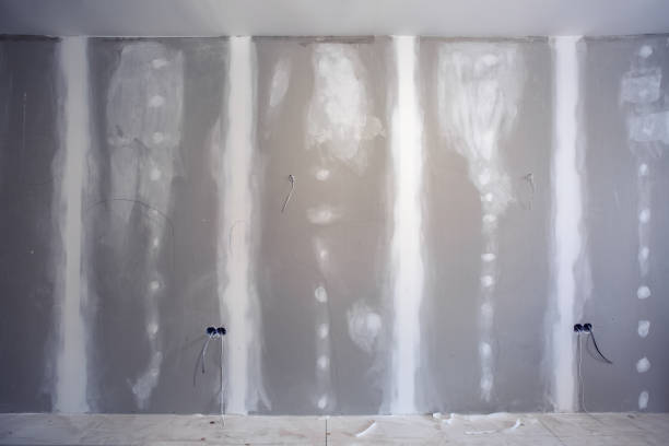 Best Attic Mold Removal  in South Barre, VT